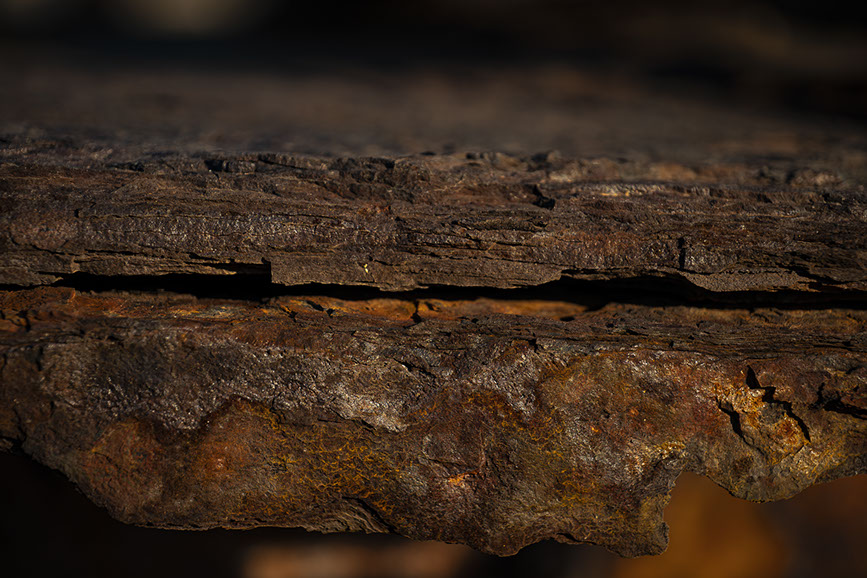Rost